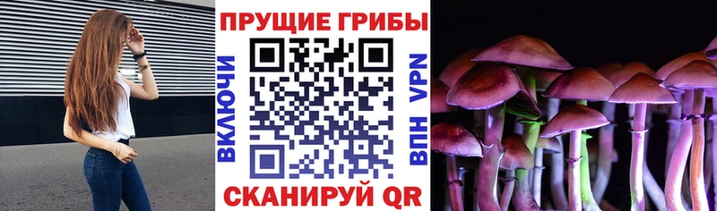 Псилоцибиновые грибы прущие грибы  Петухово 